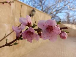 و در نهایت هیچ نهایتی وجود ندارد!