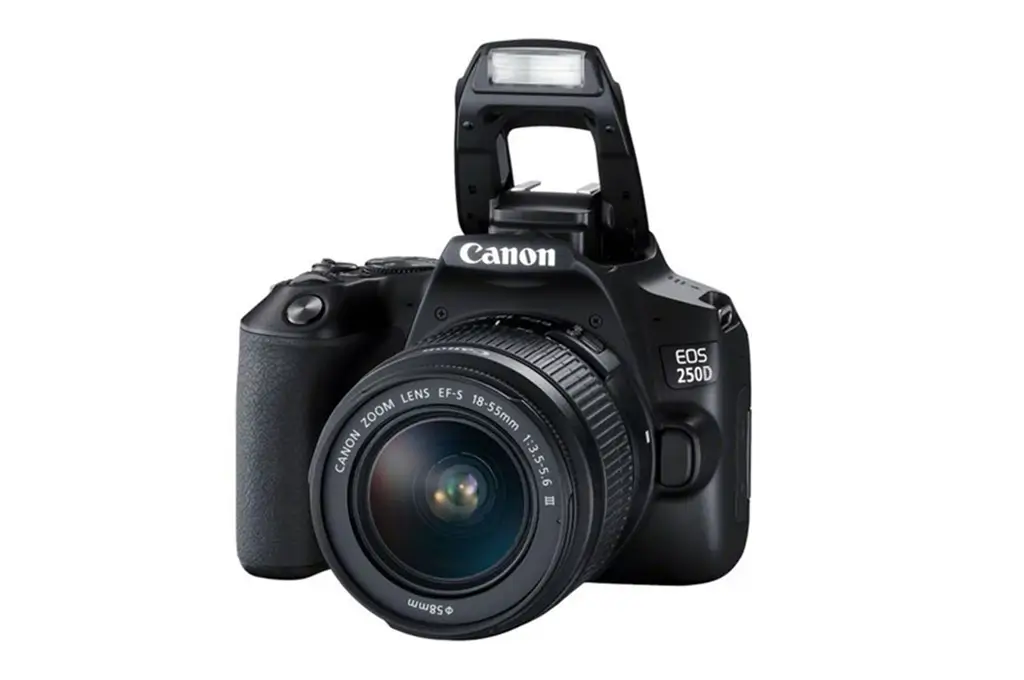 کانن EOS 250D