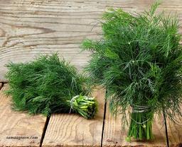 شوید یا ریحان مساله این است