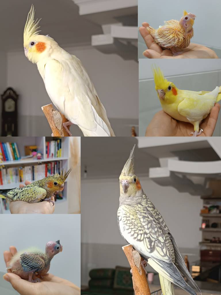 پاستیل و پسته از وقتی خیلی کوچولو بودن تا الان