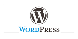 اگر وِبمَستِر هستید، وِبمَستِر باقی بمانید.