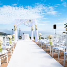 استفاده و کاربردهای خاص چمن مصنوعی :