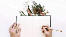 شروع داستانِ نوشتن من