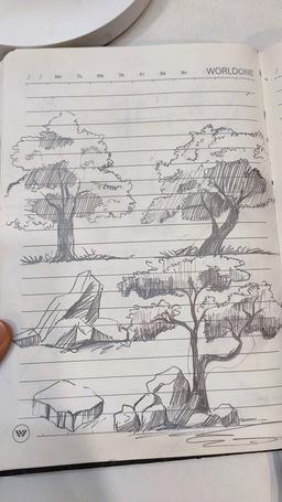 چرا همش حس میکنم درختم؟