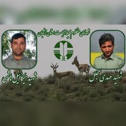 آزادتر از نسیم؛ مهدی مجلل و میکائیل هاشمی