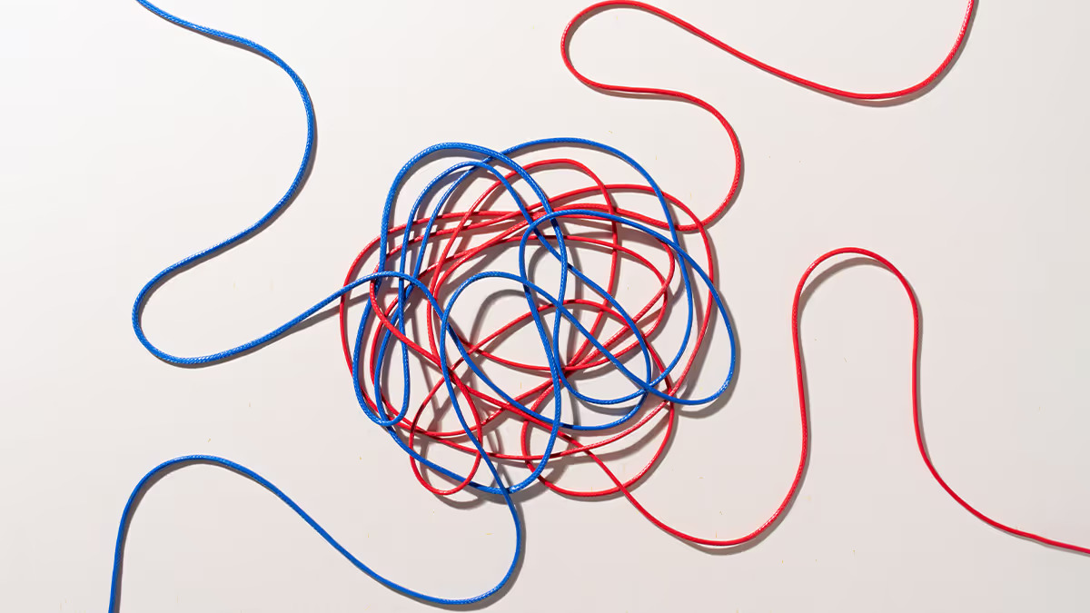 سیاست همین قدر پیچیده