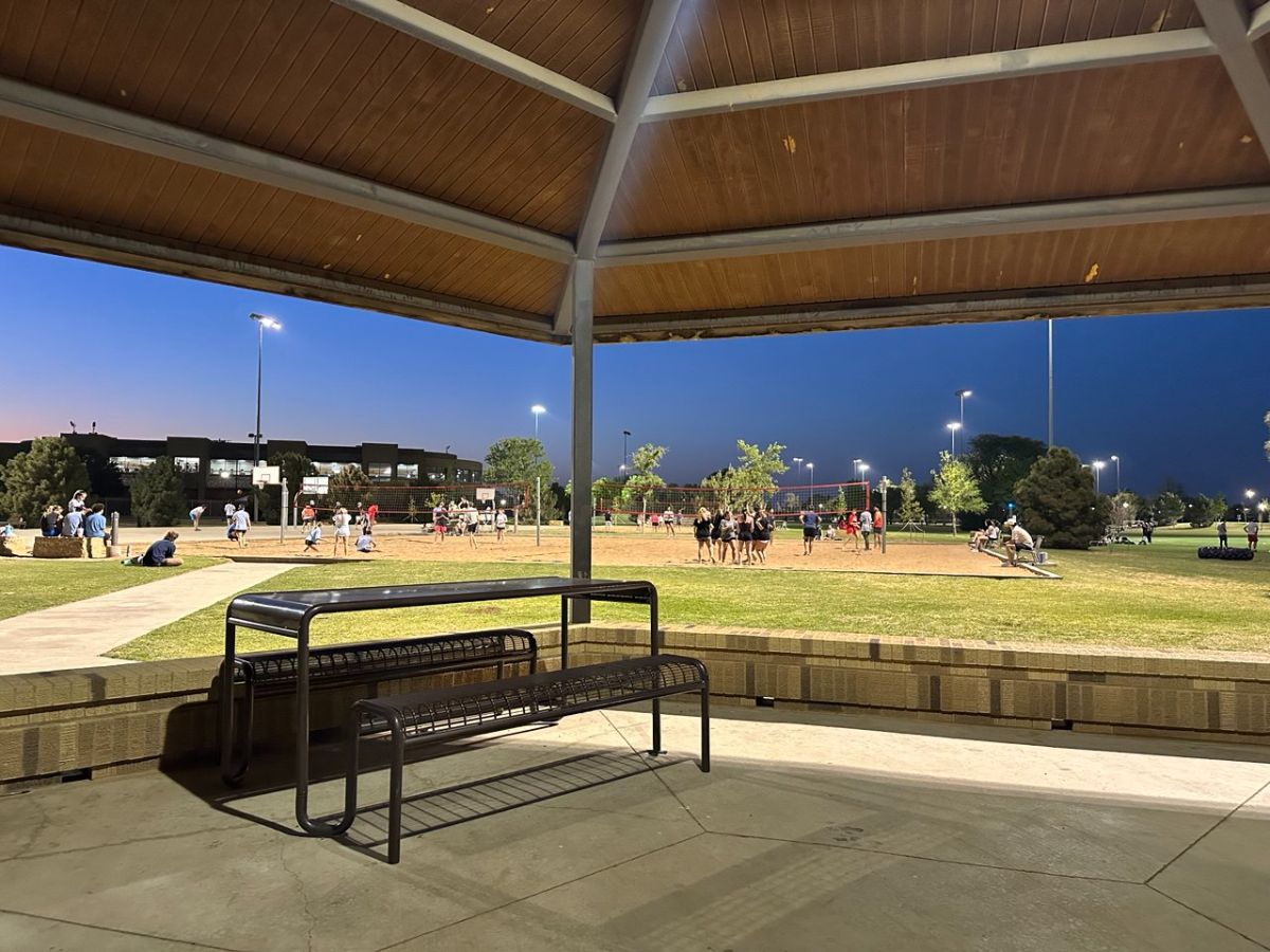 اینجا، جایی دور تر از سرزمین مادری