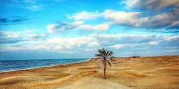 یلدا در سواحل مکران | 29 آذر