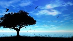 تابستون داغ و خیالم وسطش خوابش میاد