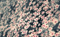 وقتی یه کتاب رو خیلی دوست داری...