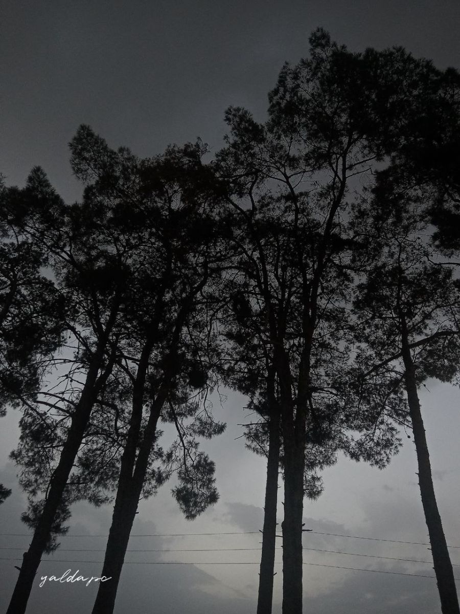 نوشتن درمورد نوشتن