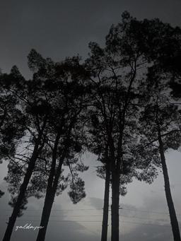 نوشتن درمورد نوشتن