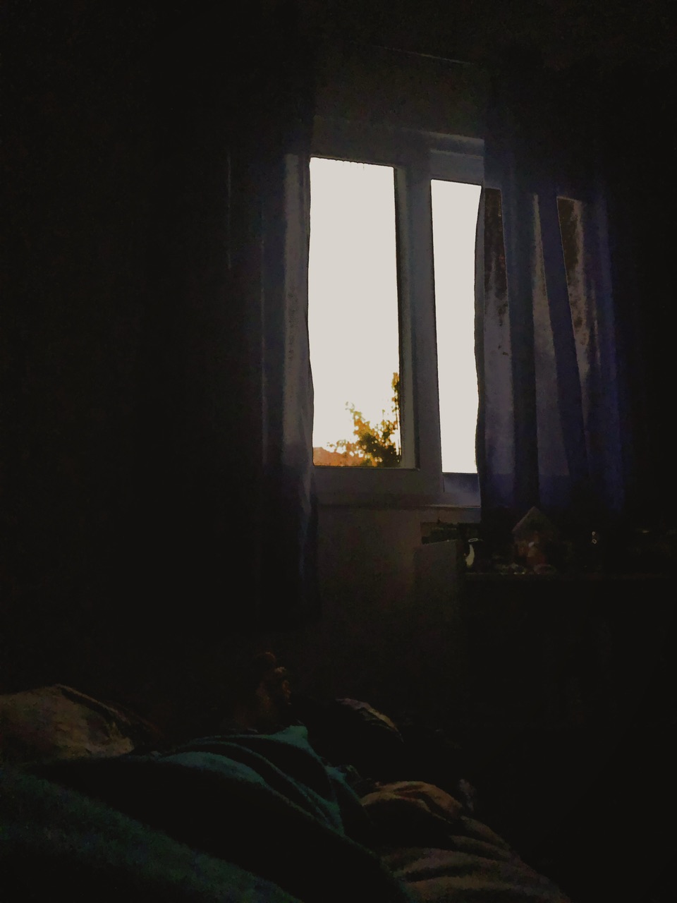 لچك درخت پير از پنجره پيداست، دارد به زور،با خزان تعامل مي كند كه رنگ بگيرد!