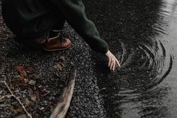 محصول و مامور انتخاب