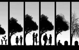 ارزش واقعی زندگی در گرو چیست؟