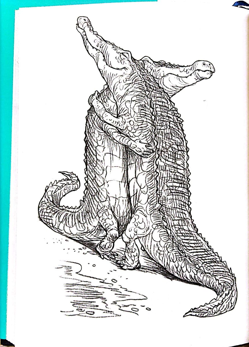 28