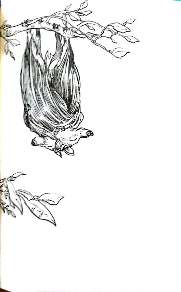 39