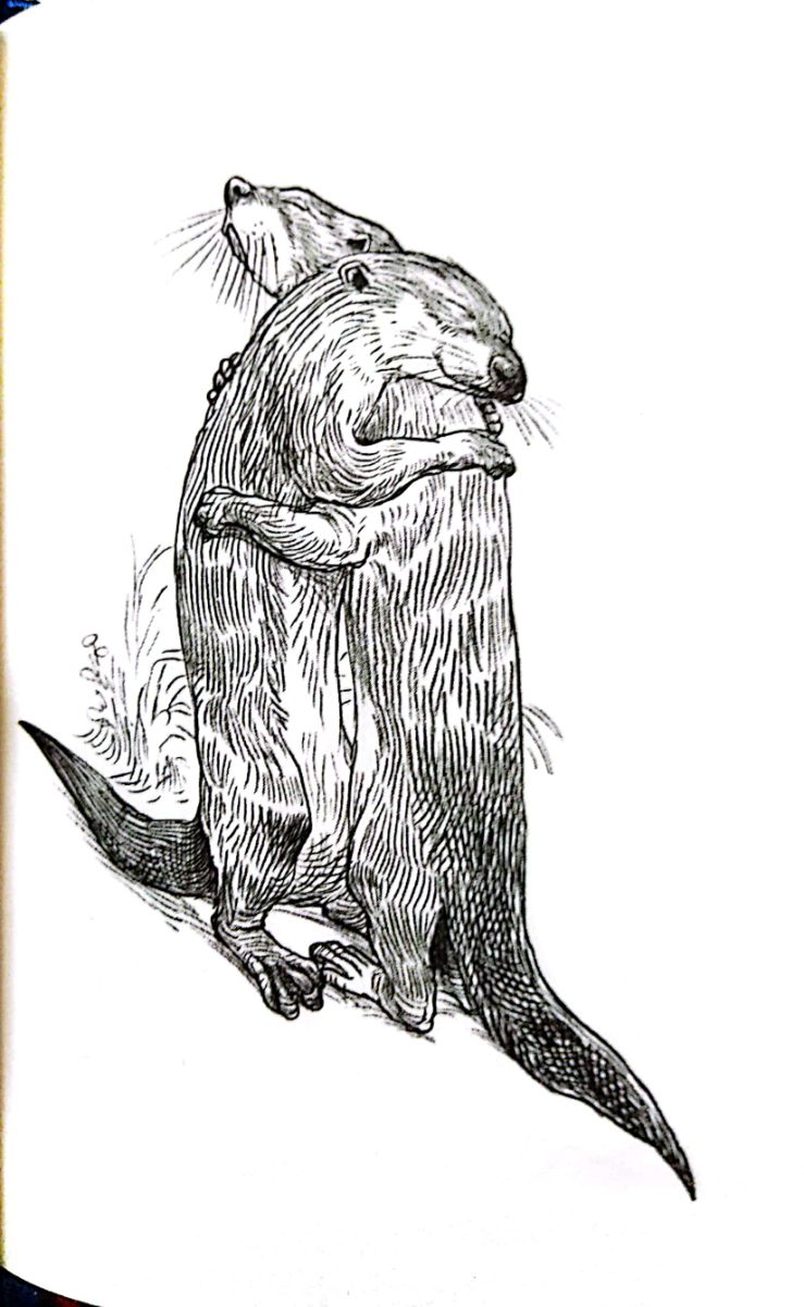 65