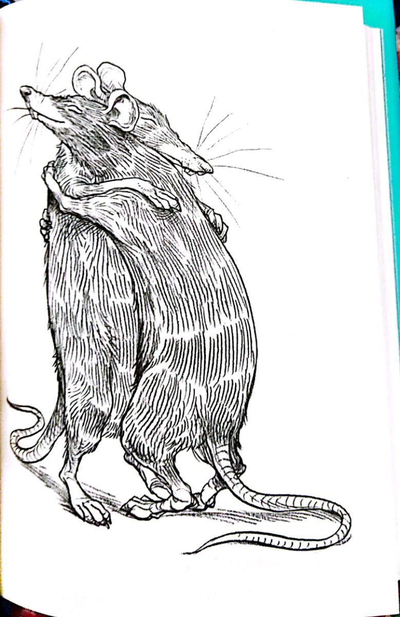 56