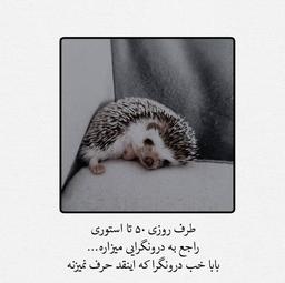 بعضی وقتا فکر میکنم بدرد معاشرت با مردم نمیخورم