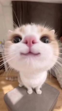 تو شخصیت اصلی زندگی خودتی؛ چرا باید در مصرف محتوا سخت‌گیر باشیم؟