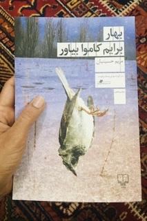 خلاصه کتاب: بهار برایم کاموا بیاور- مریم حسینیان