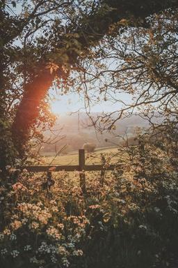 عصر آن روزِ بهار