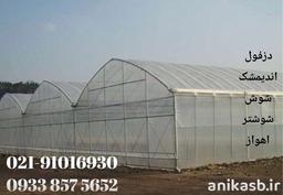 ساخت ۱۱ گلخانه جدید در خوزستان + عکس