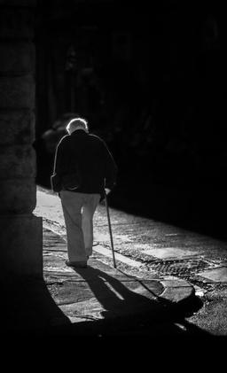 «بعضی ها برابرترند»