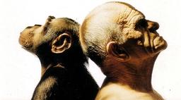 افسانه فرگشت