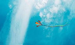 باد بادک من