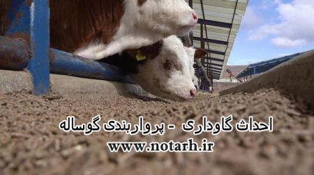 سرمایه گذاری مورد نیاز و سود گوساله پرواری