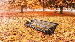 آهای خبردار