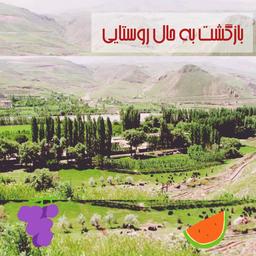 بازگشت به حال روستایی6
