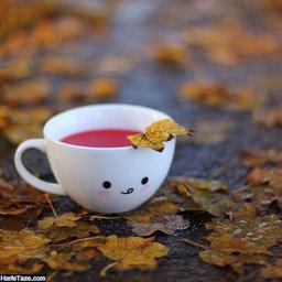 به بهانه شروع سال تحصیلی جدید