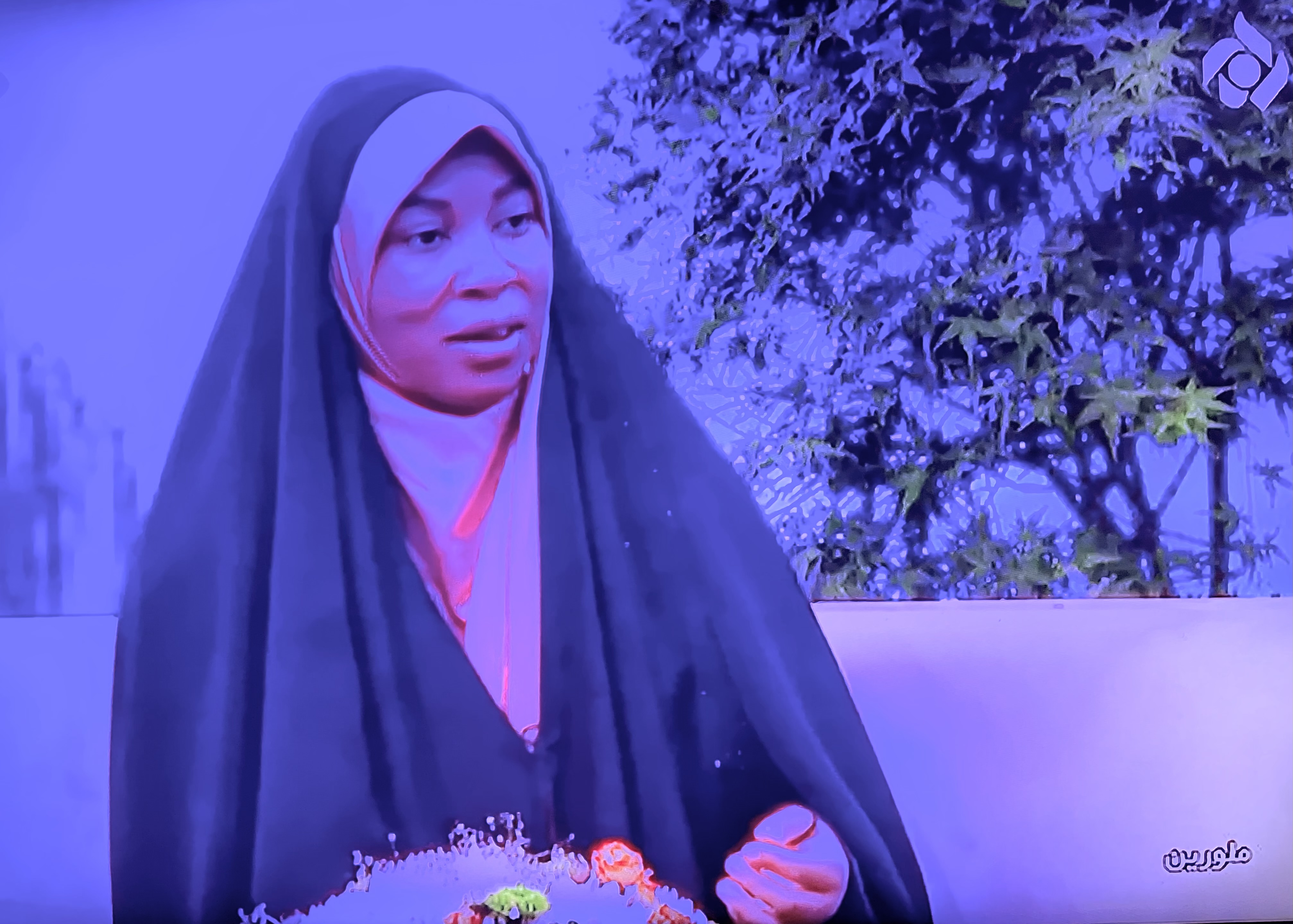 شبکه ۵ سیما - شبکه تهران