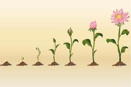 معنای زندگی