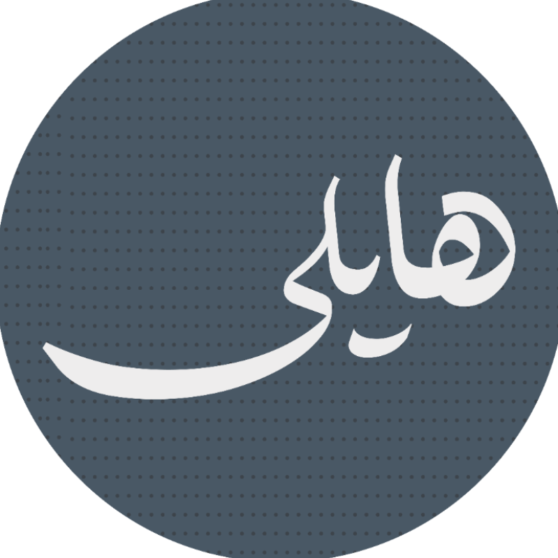 دست سازه های چرم هایلی