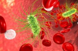 بدن چگونه از چربی‌ها برای مبارزه با عفونت استفاده می‌کند؟