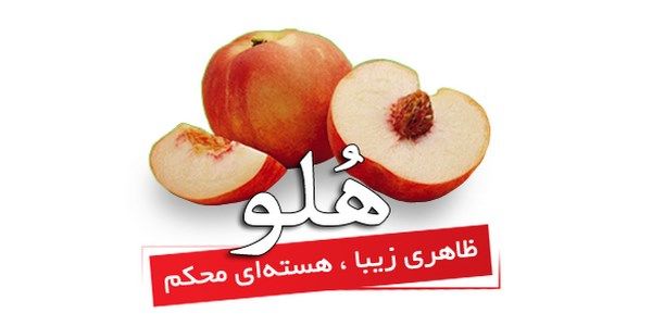 نحوه اتصال پنل پیامک زرین تک به نرم افزار حسابداری هلو
