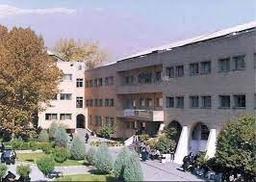 زندگی همین مسیر رسیدن به مقصده