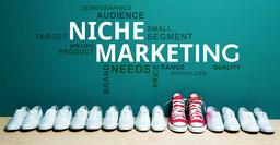 نیچ مارکتینگ چیست و چه مزایایی دارد؟
